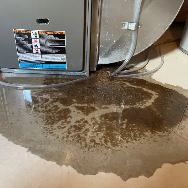 Appliance Leak Cleanup in Sharon Hill, PA